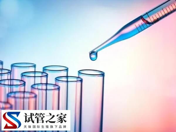 角膜营养不良有无必要做三代试管避免遗传(图3) 角膜营养不良有无必要做三代试管避免遗传(图3)