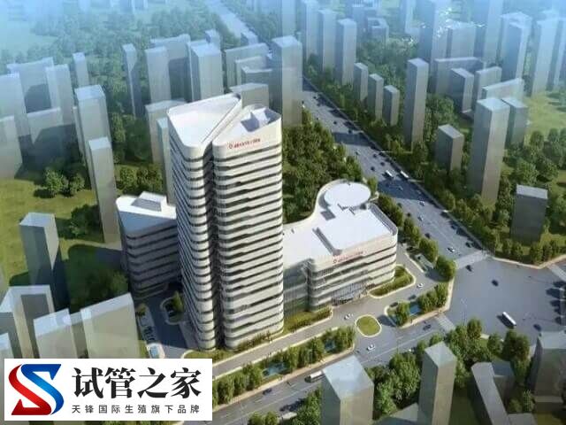 免费做试管婴儿的医院有哪些(图2) 免费做试管婴儿的医院有哪些(图2)