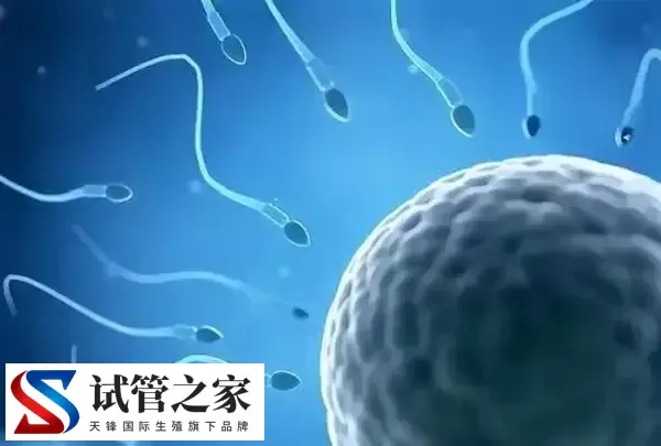 XY精子分离术是什么意思(图1) XY精子分离术是什么意思(图1)