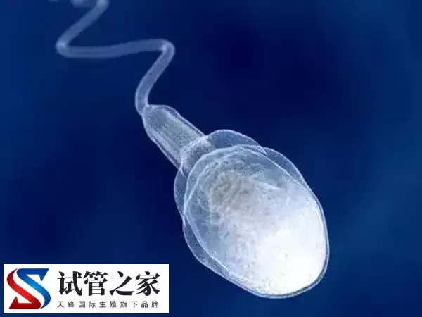 XY精子分离术是什么意思(图2) XY精子分离术是什么意思(图2)