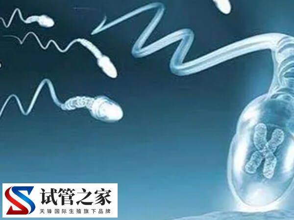 XY精子分离术是什么意思(图4) XY精子分离术是什么意思(图4)