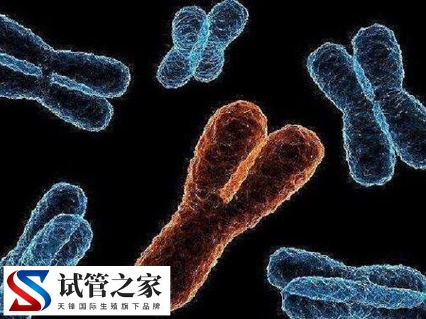 XY精子分离术是什么意思(图5) XY精子分离术是什么意思(图5)