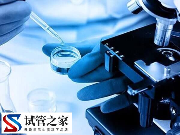 XY精子分离术的好处与危害是什么(图1) XY精子分离术的好处与危害是什么(图1)