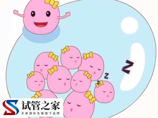 6cc囊胚还有没有必要移植(图2) 6cc囊胚还有没有必要移植(图2)