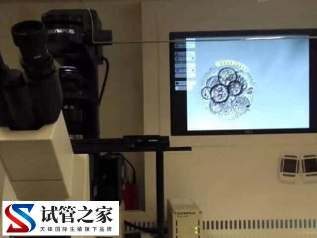 什么情况下囊胚需要辅助孵化(图1) 什么情况下囊胚需要辅助孵化(图1)