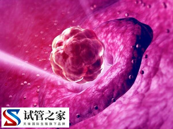 试管移植第17天出血的原因有几种(图2) 试管移植第17天出血的原因有几种(图2)