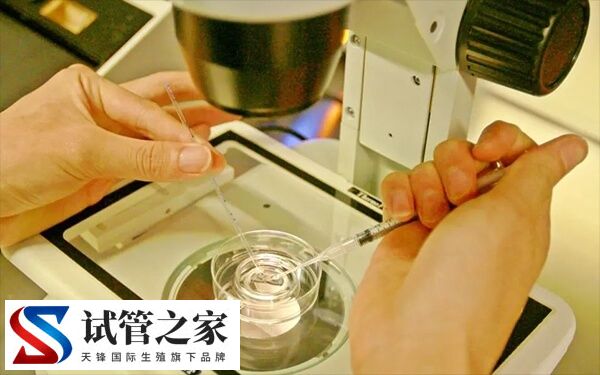 试管卵泡28了才打夜针正不正常(图2)