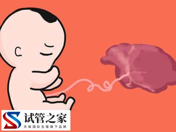 绒促性素是什么药(图1) 绒促性素是什么药(图1)