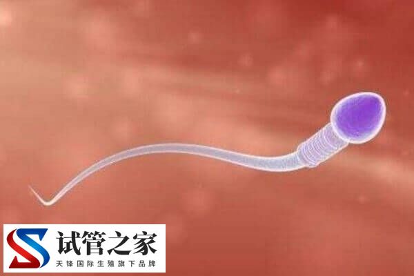 绒促性素是什么药(图4) 绒促性素是什么药(图4)