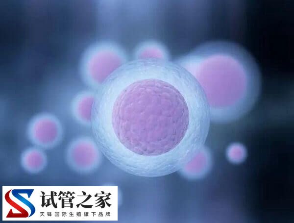 试管什么情况下打乐芮(图2) 试管什么情况下打乐芮(图2)