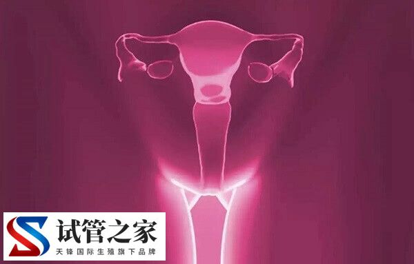 试管什么情况下打乐芮(图3) 试管什么情况下打乐芮(图3)