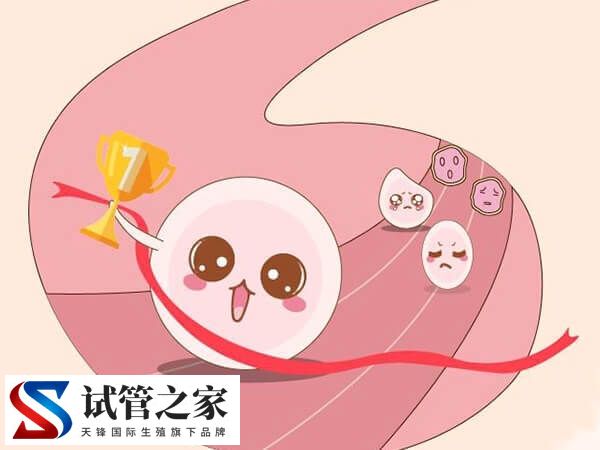 普丽康用法用量是怎样的(图1) 普丽康用法用量是怎样的(图1)