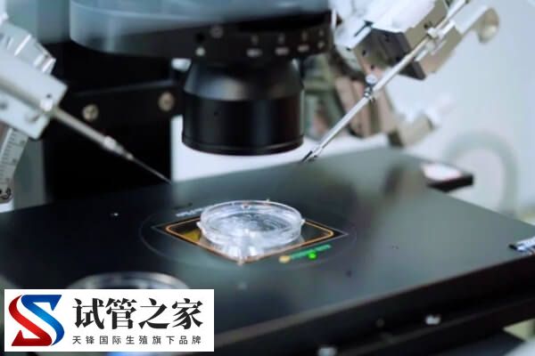 试管婴儿会不会弄错精子卵子(图1) 试管婴儿会不会弄错精子卵子(图1)