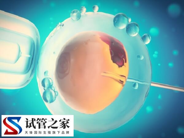 试管婴儿产生心脏畸形是怎么回事(图1) 试管婴儿产生心脏畸形是怎么回事(图1)