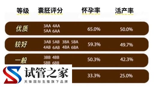 养囊成功后移植成功率多少(图1) 养囊成功后移植成功率多少(图1)
