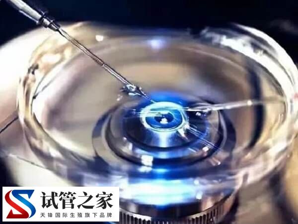 养囊成功的是不是都是优质胚胎(图1) 养囊成功的是不是都是优质胚胎(图1)