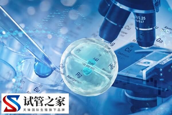 养囊成功率低的原因有哪些(图1) 养囊成功率低的原因有哪些(图1)