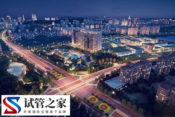 恩施试管婴儿医院哪家好?恩施中心医院怎么样?(图1) 恩施试管婴儿医院哪家好?恩施中心医院怎么样?(图1)