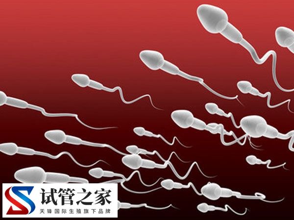 精子库的精子质量分哪些档次(图1) 精子库的精子质量分哪些档次(图1)