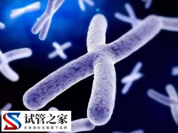 特纳综合症试管成功率(图1) 特纳综合症试管成功率(图1)
