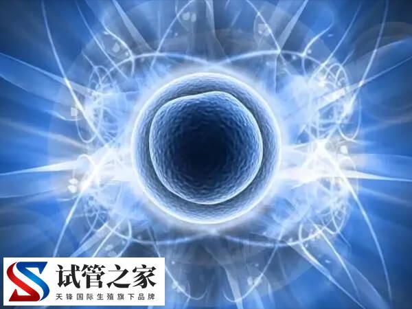 三天胚胎评分923是什么级别?是优胚吗?(图1) 三天胚胎评分923是什么级别?是优胚吗?(图1)