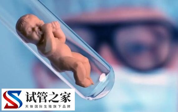 三代试管婴儿出生的宝宝会比自然生育的更聪明吗?(图1) 三代试管婴儿出生的宝宝会比自然生育的更聪明吗?(图1)