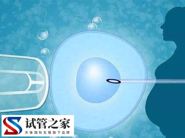 试管移植后受到惊吓影不影响着床