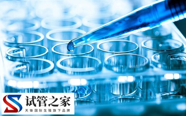 为什么跳绳有助于移植成功(图2) 为什么跳绳有助于移植成功(图2)