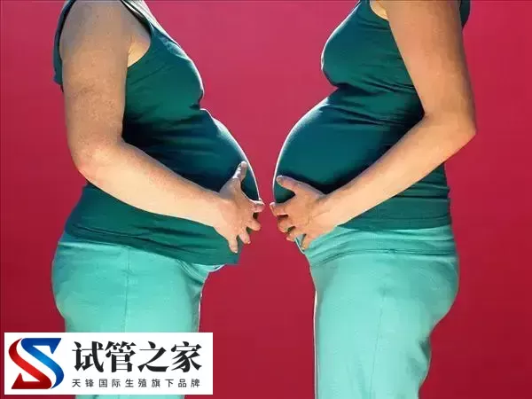 试管婴儿生双胞胎有哪些要求(图1) 试管婴儿生双胞胎有哪些要求(图1)