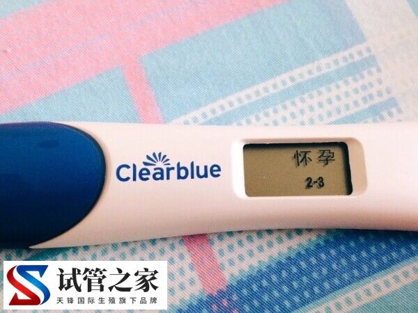 6bb囊胚容不容易生男孩(图2) 6bb囊胚容不容易生男孩(图2)