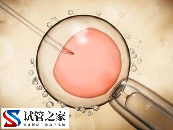 高龄做三代供卵试管成功率有多少(图1) 高龄做三代供卵试管成功率有多少(图1)