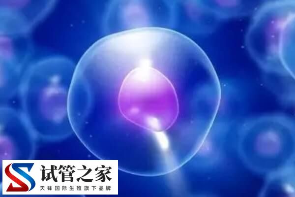 世界上有没有卵子库(图1) 世界上有没有卵子库(图1)