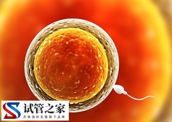 女性不孕是不是排卵障碍导致的