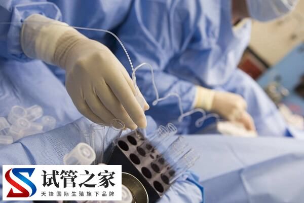 女性不孕是不是排卵障碍导致的(图3) 女性不孕是不是排卵障碍导致的(图3)