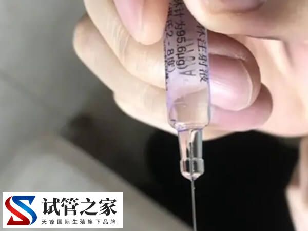 鲜胚移植13天成功有什么症状(图2) 鲜胚移植13天成功有什么症状(图2)