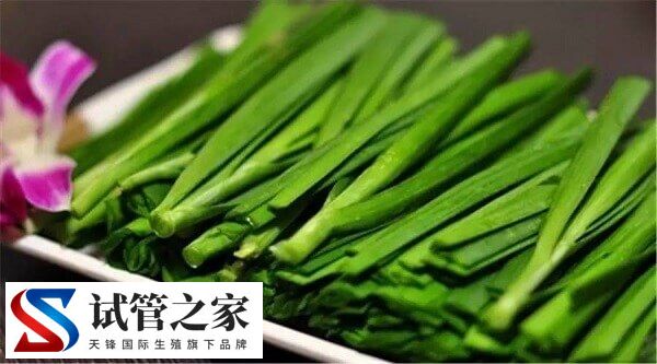 为什么鲜胚移植后不建议吃韭菜(图2) 为什么鲜胚移植后不建议吃韭菜(图2)