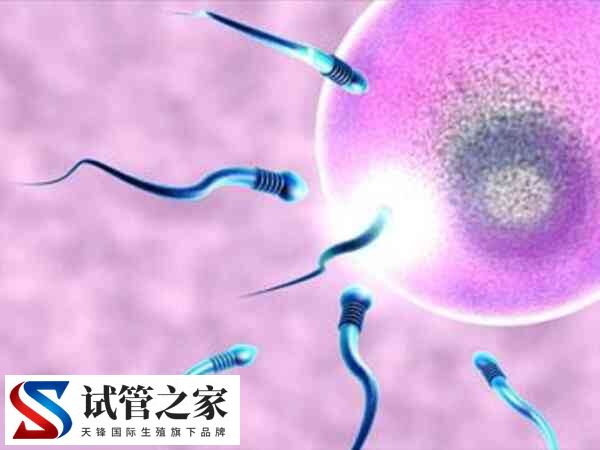 囊胚质量差还有没有移植价值(图1)