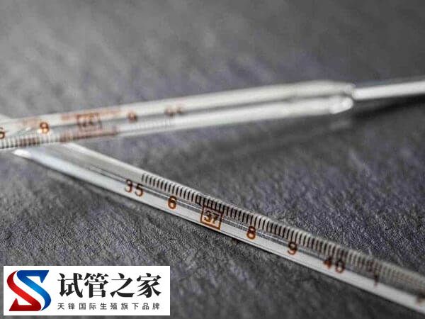 鲜胚移植第九天身体热正不正常(图1)