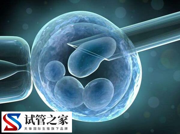 更年期还能不能做试管婴儿(图1) 更年期还能不能做试管婴儿(图1)