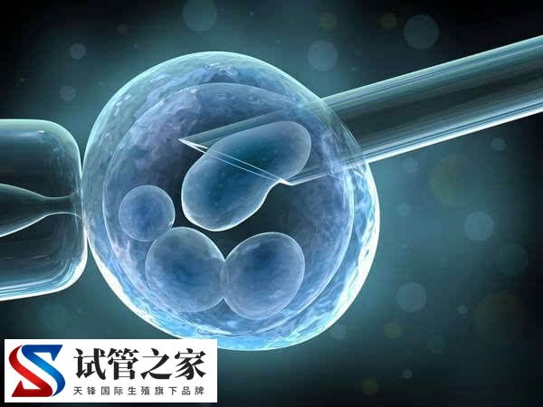 试管移植前做ERA和ERT有什么不同(图1)