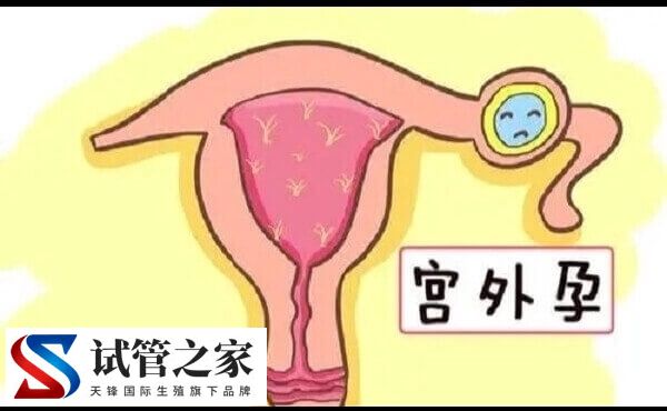 早孕期阴道出血的原因有哪些(图1) 早孕期阴道出血的原因有哪些(图1)