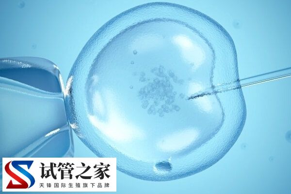 amh0.86是否一定得做试管婴儿(图1)