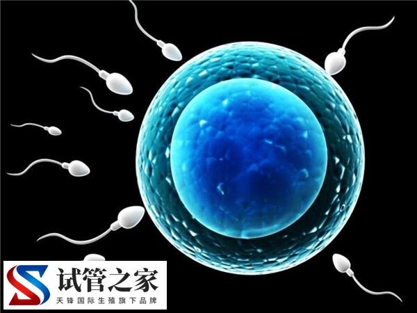 amh0.86是否一定得做试管婴儿(图2)