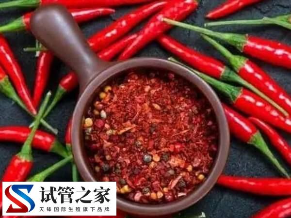 做试管移植后吃绿豆好不好(图2)