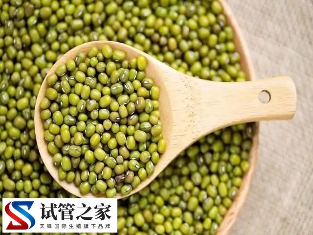 做试管移植后吃绿豆好不好(图1)
