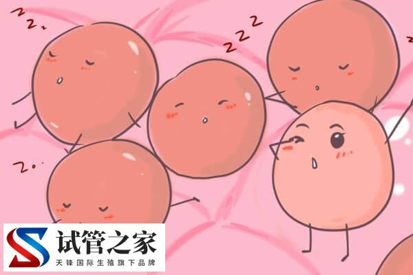 怎么监测排卵(图1)