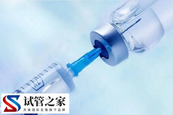 试管短方案促排针怎么打(图1) 试管短方案促排针怎么打(图1)