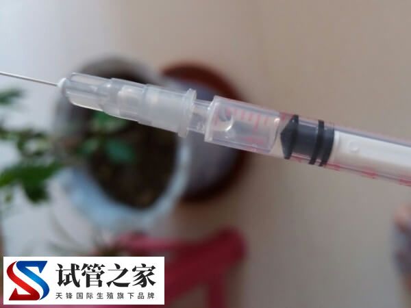 试管促排对身体有没有害(图1)