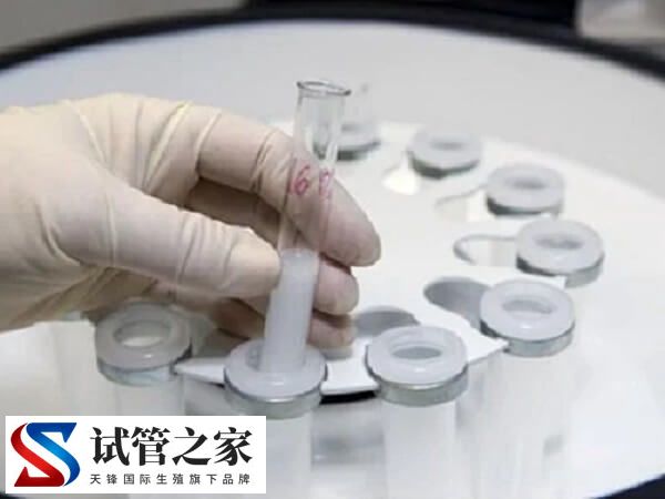 离心后镜检偶见几条活动精子拿去做试管婴儿能成功吗？