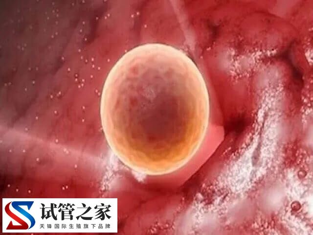 卵子质量不好影不影响胎儿健康